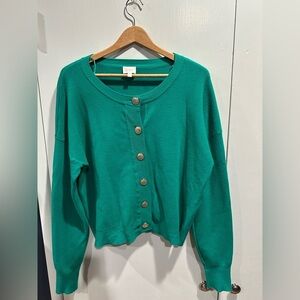 Cyrus Green Knit Sweater with Gold Button